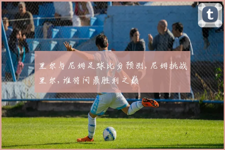 里尔与尼姆足球比分预测,尼姆挑战里尔,谁将问鼎胜利之巅