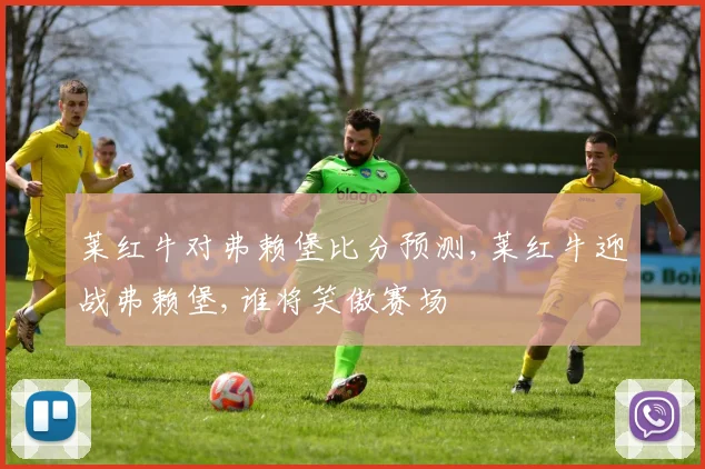 莱红牛对弗赖堡比分预测,莱红牛迎战弗赖堡,谁将笑傲赛场